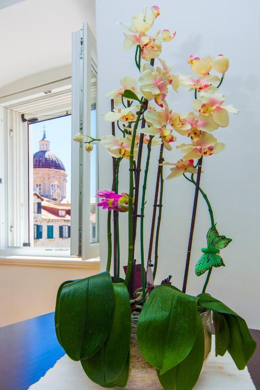 Apartments & Rooms Orlando Dubrovnik Room photo